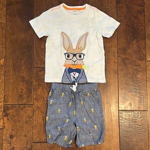 Gymboree Boys Easter Bunny and Carrot Matching Set